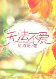 无法不爱讲什么