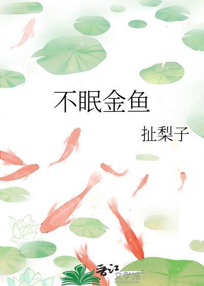 不眠金鱼讲的是什么