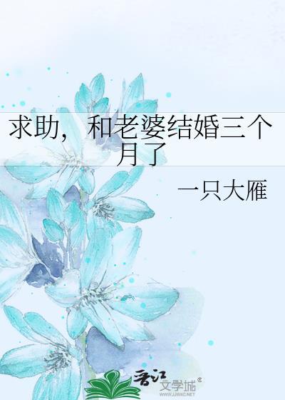 求助和老婆结婚三个月了txt