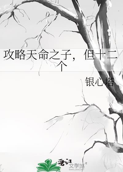 天命之子 攻略