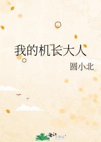 我的机长大人的秘密在线观看