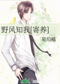 野风这首歌表达了什么