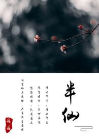 半仙的意思