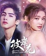 彼岸花叶子的图片