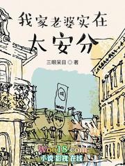 我家老婆实在太安分TXT