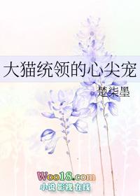 大猫统领的心尖宠 作者楚柒墨