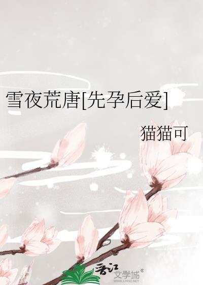 雪夜作者