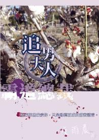 霸道总裁追妻100