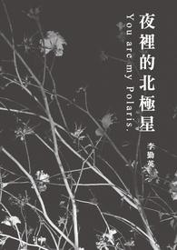 北极星夜空中最亮的星