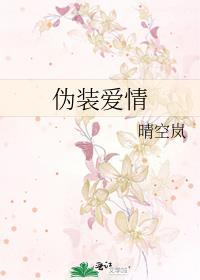 伪装爱情txt百度