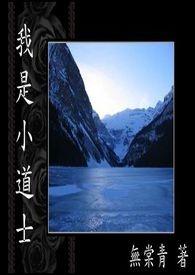 小小道士150集