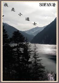 我是个小道士