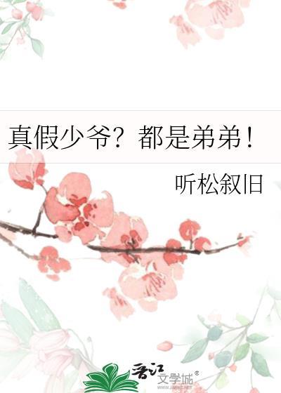 真假少爷?都是弟弟! 作者听松叙旧