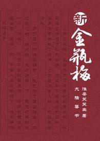 新金瓶梅电视连续刷