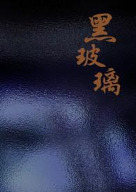黑色玻璃门效果图