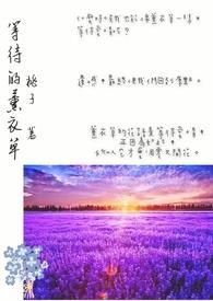 薰衣草歌曲mv