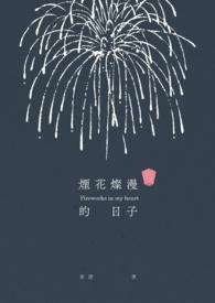 灿烂烟花的句子
