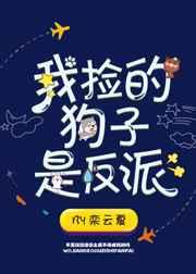 我捡小狗笔趣阁免费阅读