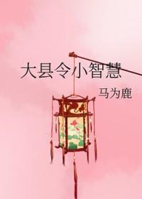 大县令小仵作听书