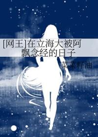 网王立海大sp