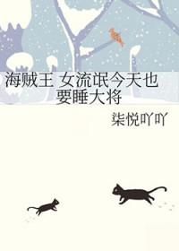 海贼王之流氓大将