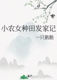 小农女种田发家记百度