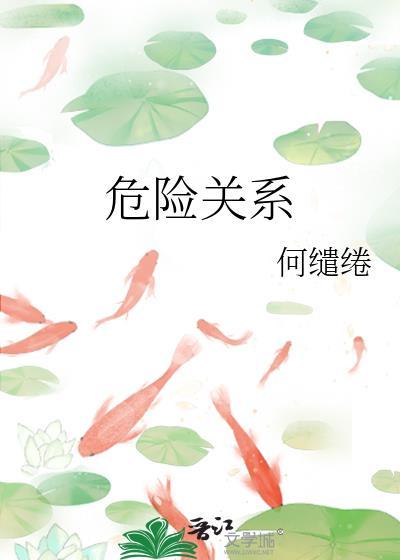 危险关系电视剧在线观看全集视频