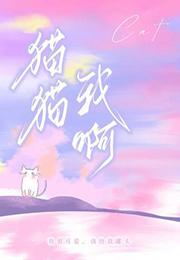 猫啊 猫