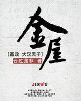 金屋藏夫电视剧