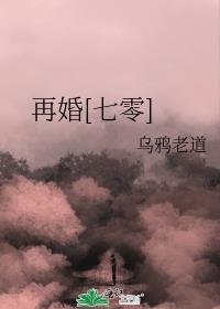 再婚七零宋清河