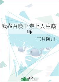 我靠召唤玩家来复仇