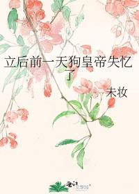 立后前一天狗黄帝失忆了未妆番外