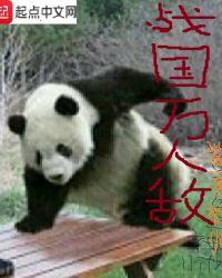 战国万人敌 鲨鱼禅师