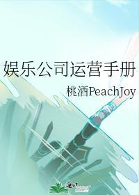 娱乐运营方案
