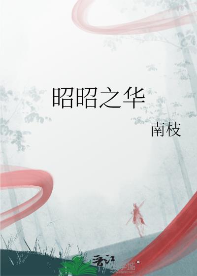 昭昭之华番外1新皇登基