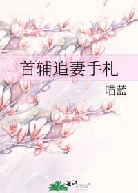 首辅宠妻手札