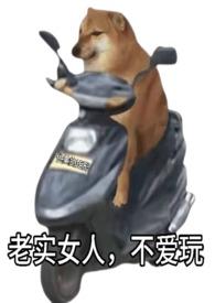 老实女人不装了
