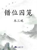 错位囚笼讲的什么