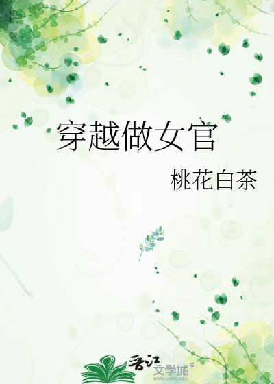 穿越之女人当官