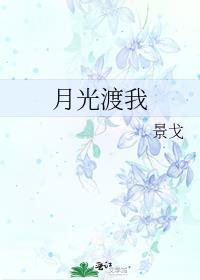 月光渡我 时衿傅宴全文在线阅读