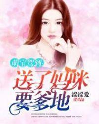 萌宝送到请签收全文免费阅读