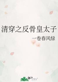 清穿之反骨皇太子番外免费阅读