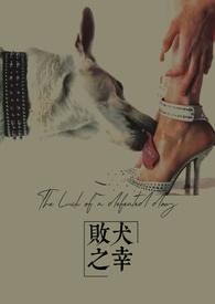败犬意思