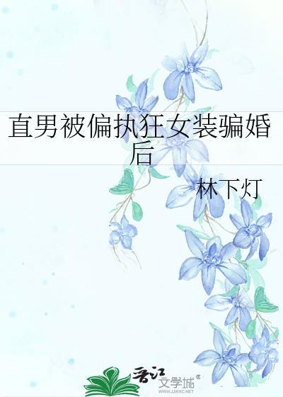 直男被偏执狂女装骗婚后by林下灯TXT
