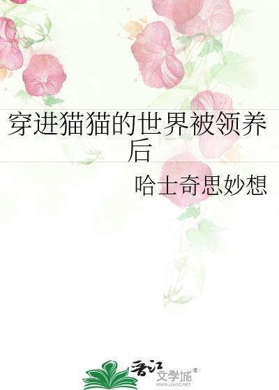 穿到猫身上的