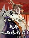 大秦炼丹师