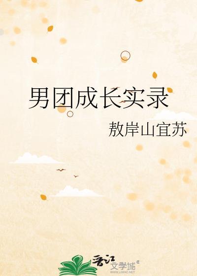 男团成长实录TXT