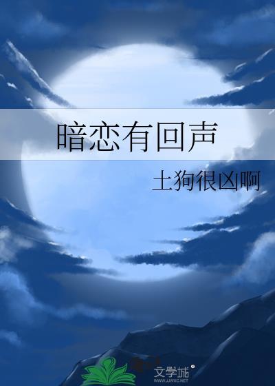 暗恋有回声txt百度