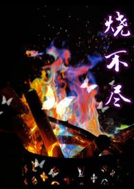 烧不尽百度无删减