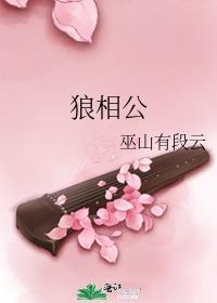 穿越小夫郎的狼相公讲什么故事